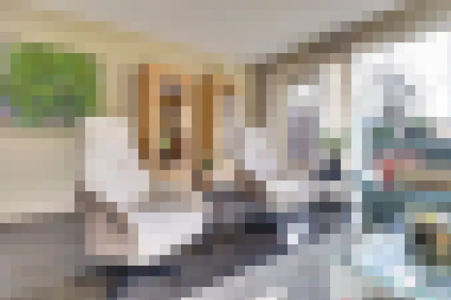 Wikkedreef 4 Spijkenisse thumbnail 10