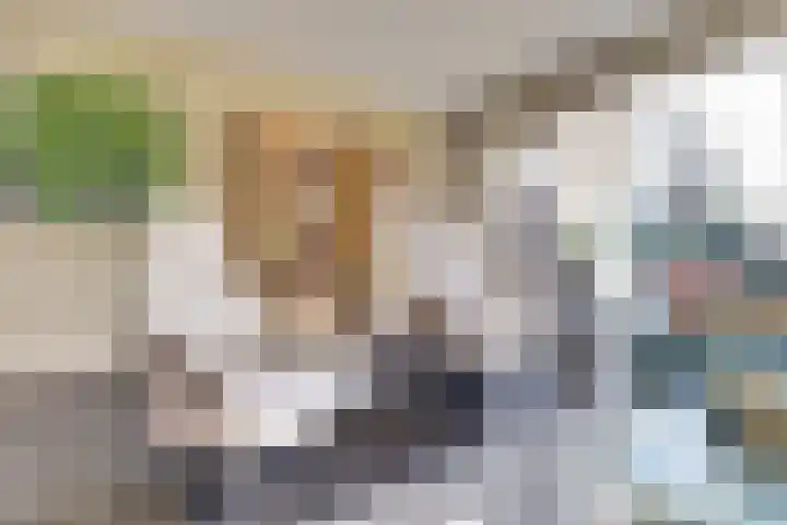 Wikkedreef 4 Spijkenisse thumbnail 10