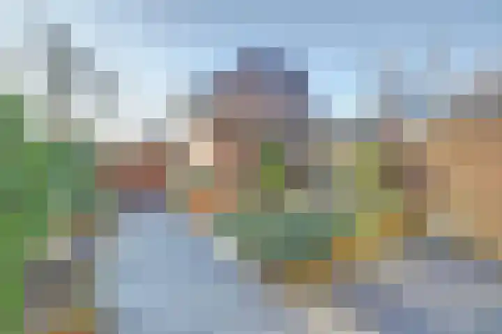 Wikkedreef 4 Spijkenisse thumbnail 16