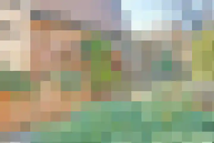 Wikkedreef 4 Spijkenisse thumbnail 17
