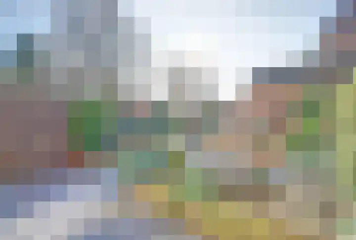 Wikkedreef 4 Spijkenisse thumbnail 19