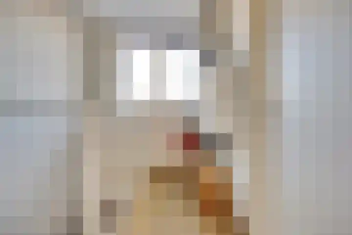 Wikkedreef 4 Spijkenisse thumbnail 24