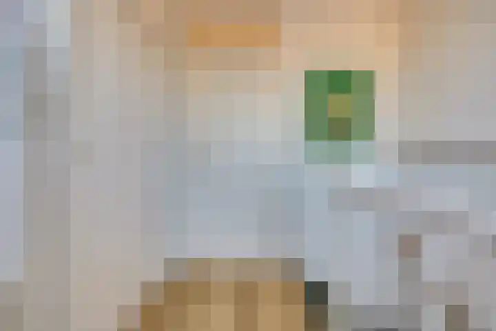 Wikkedreef 4 Spijkenisse thumbnail 25