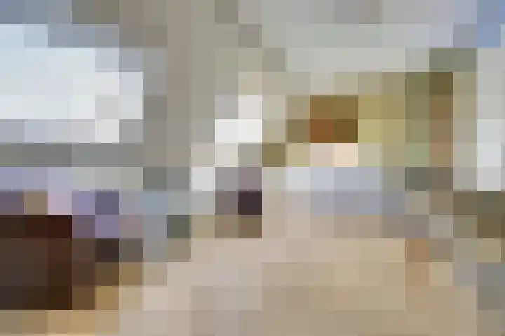 Wikkedreef 4 Spijkenisse thumbnail 26