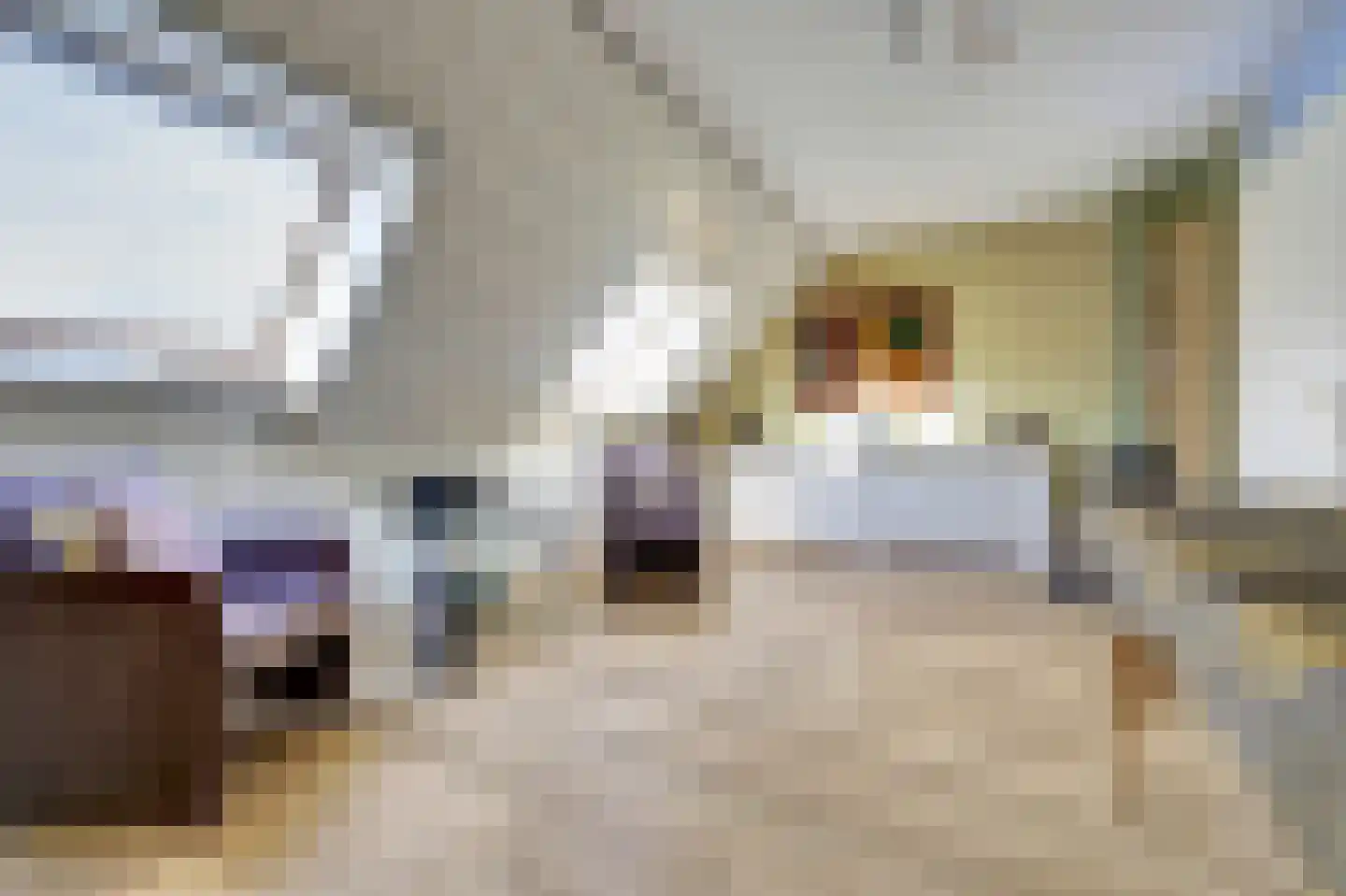 Wikkedreef 4 Spijkenisse thumbnail 26