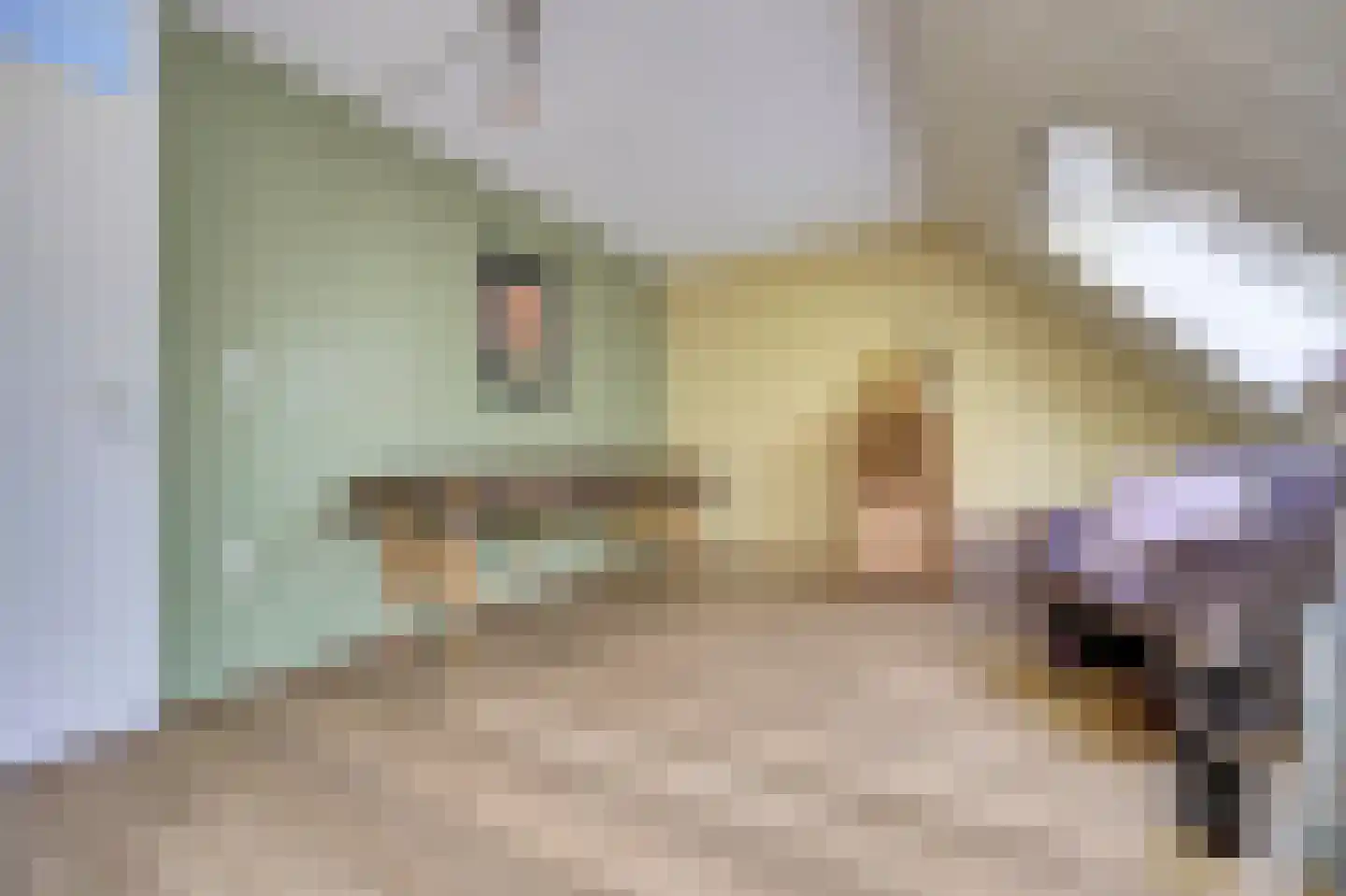 Wikkedreef 4 Spijkenisse thumbnail 27