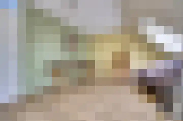 Wikkedreef 4 Spijkenisse thumbnail 27