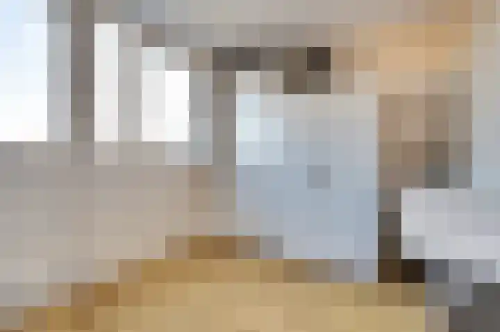 Wikkedreef 4 Spijkenisse thumbnail 29