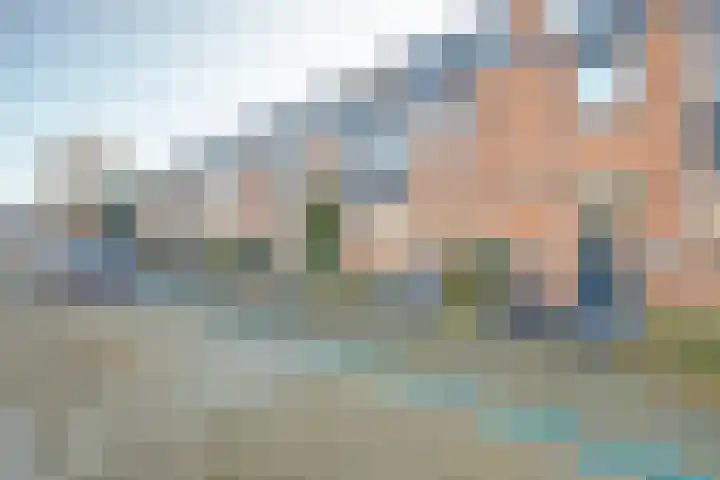 Wikkedreef 4 Spijkenisse thumbnail 36