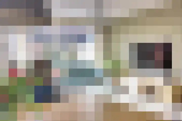 Wikkedreef 4 Spijkenisse thumbnail 8