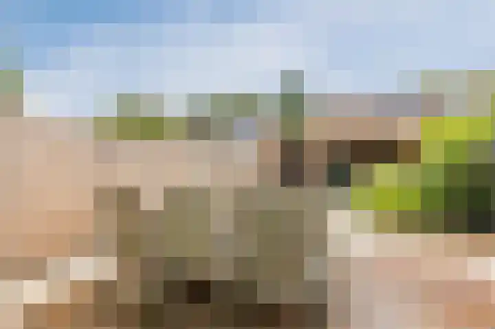Wikkehof 14 Purmerend thumbnail 42
