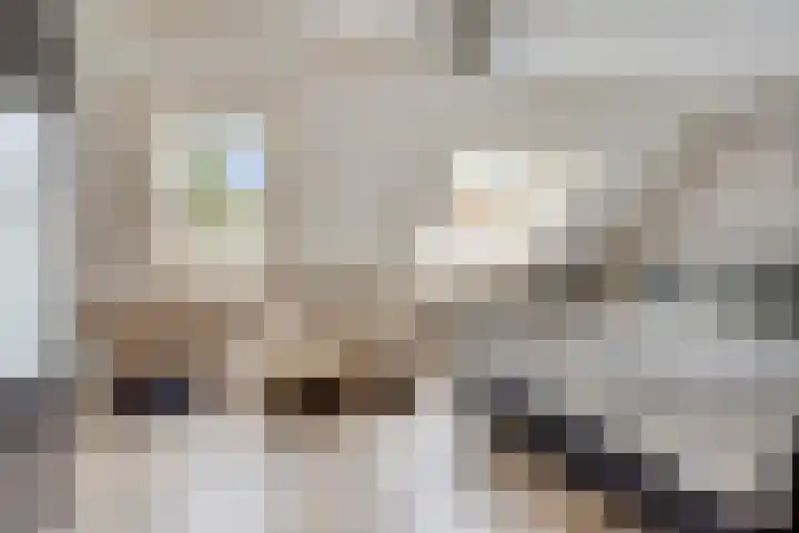 Wikkehof 16 Purmerend thumbnail 14