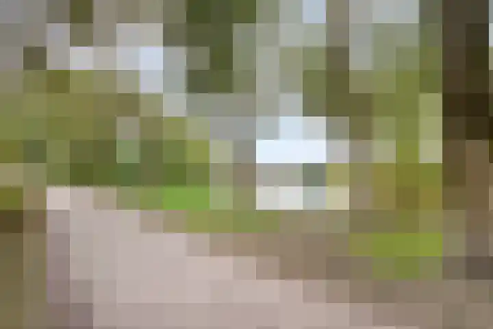 Wikkehof 16 Purmerend thumbnail 25