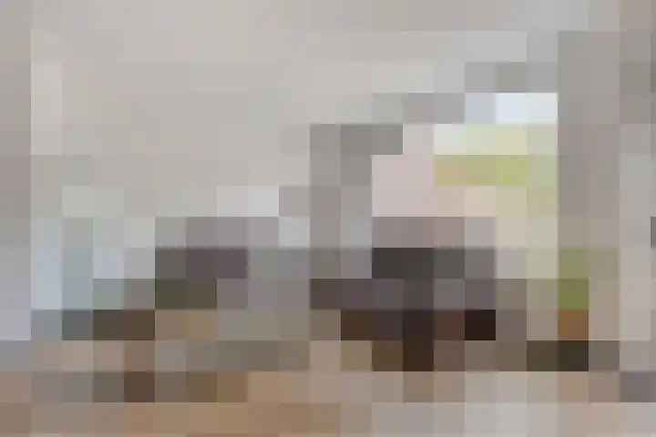 Wikkehof 16 Purmerend thumbnail 9
