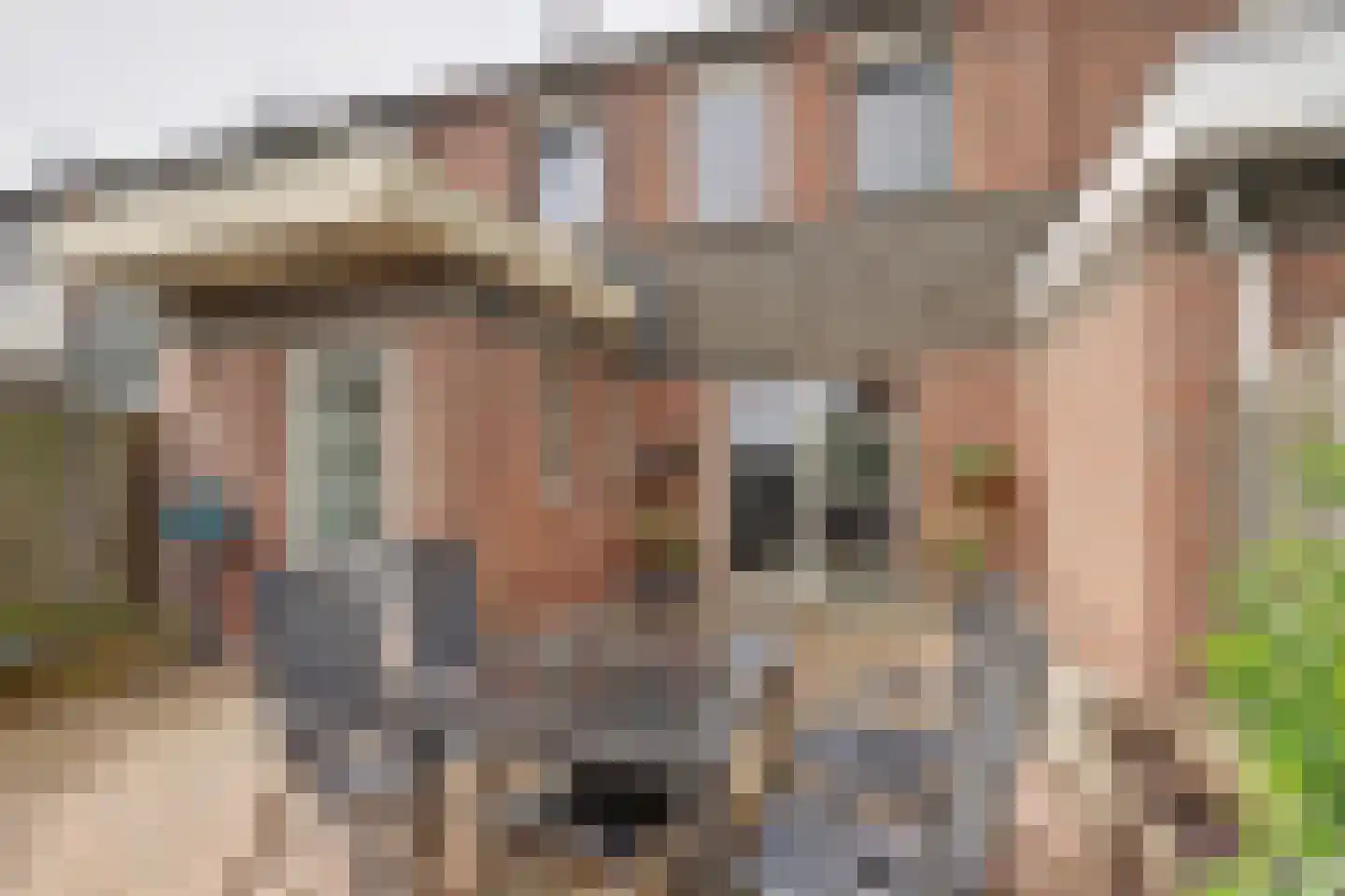Wikkel 52 Emmer-Compascuum thumbnail 26