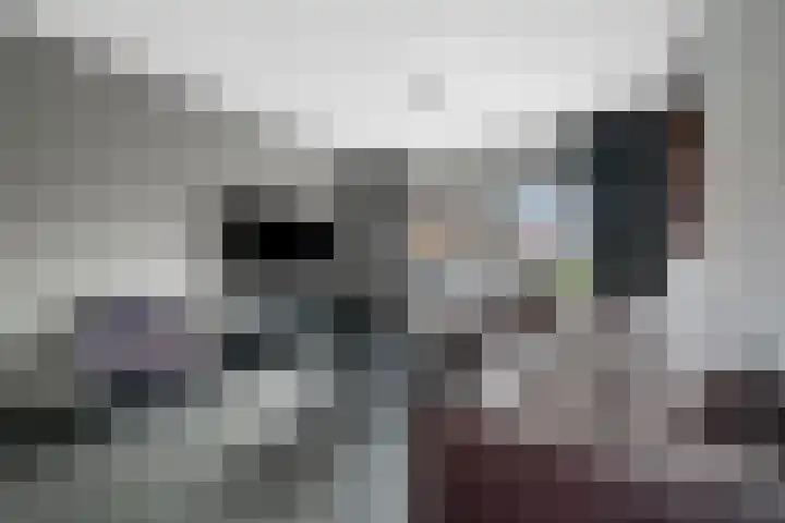 Wikkel 56 Emmer-Compascuum thumbnail 13