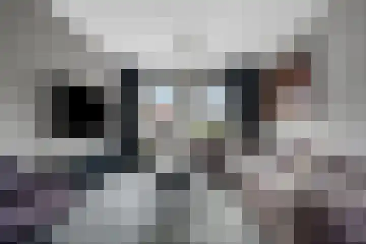Wikkel 56 Emmer-Compascuum thumbnail 18