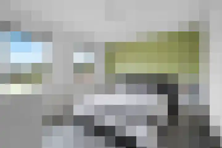 Wikkel 56 Emmer-Compascuum thumbnail 21