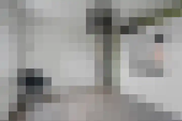 Wikkel 56 Emmer-Compascuum thumbnail 24