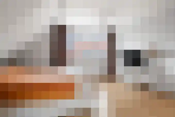 Wikkelaan 12 Bentveld thumbnail 18