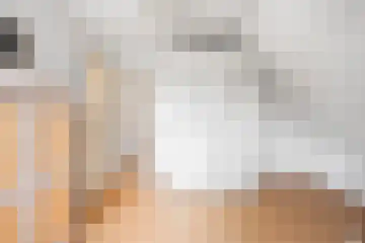 Wikkelaan 12 Bentveld thumbnail 26