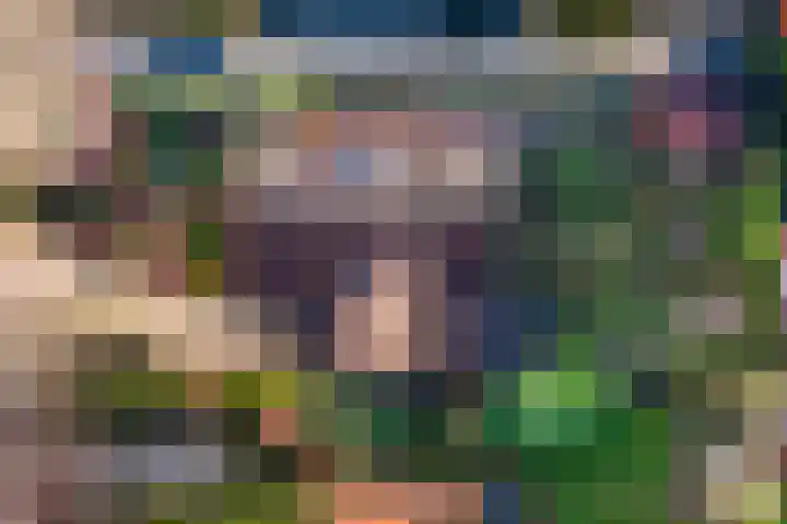 Wikkelaan 12 Bentveld thumbnail 40