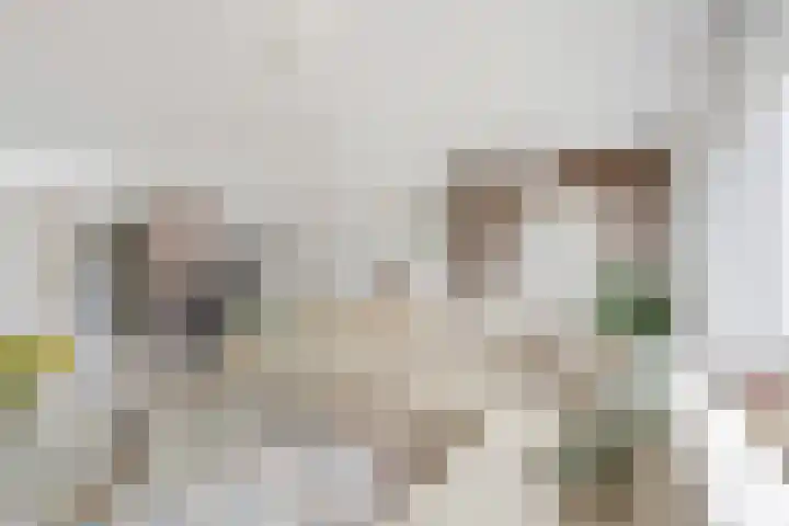 Wikkelaan 12 Bentveld thumbnail 6