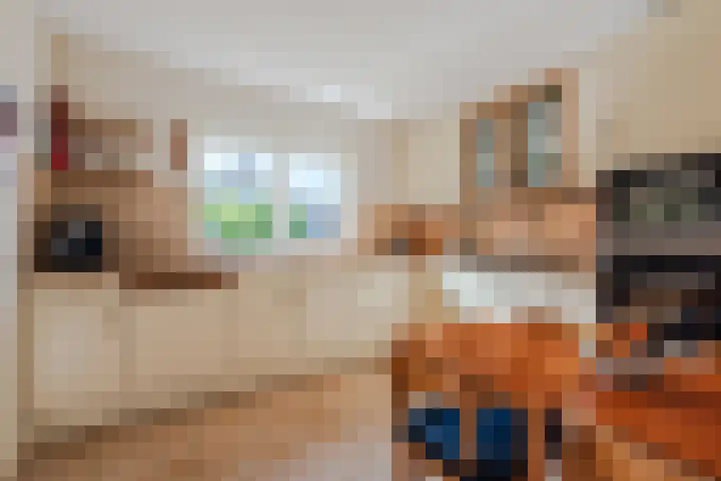 Wikkelaan 51 Ermelo thumbnail 21