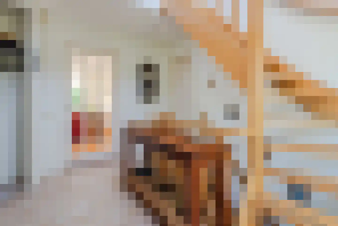 Wikkelaan 51 Ermelo thumbnail 35