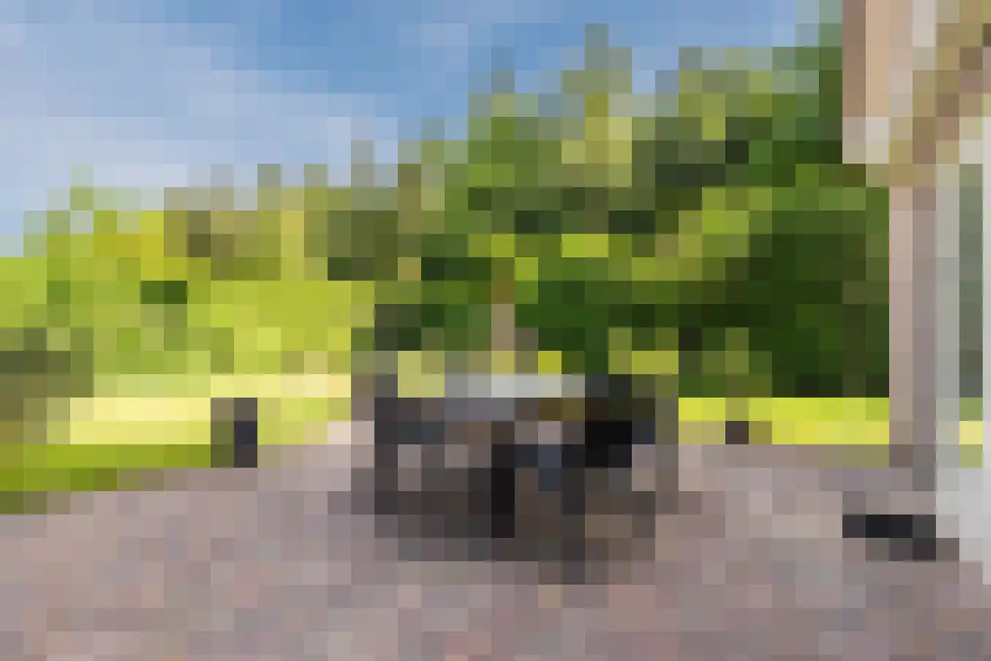 Wikkelaan 51 Ermelo thumbnail 4