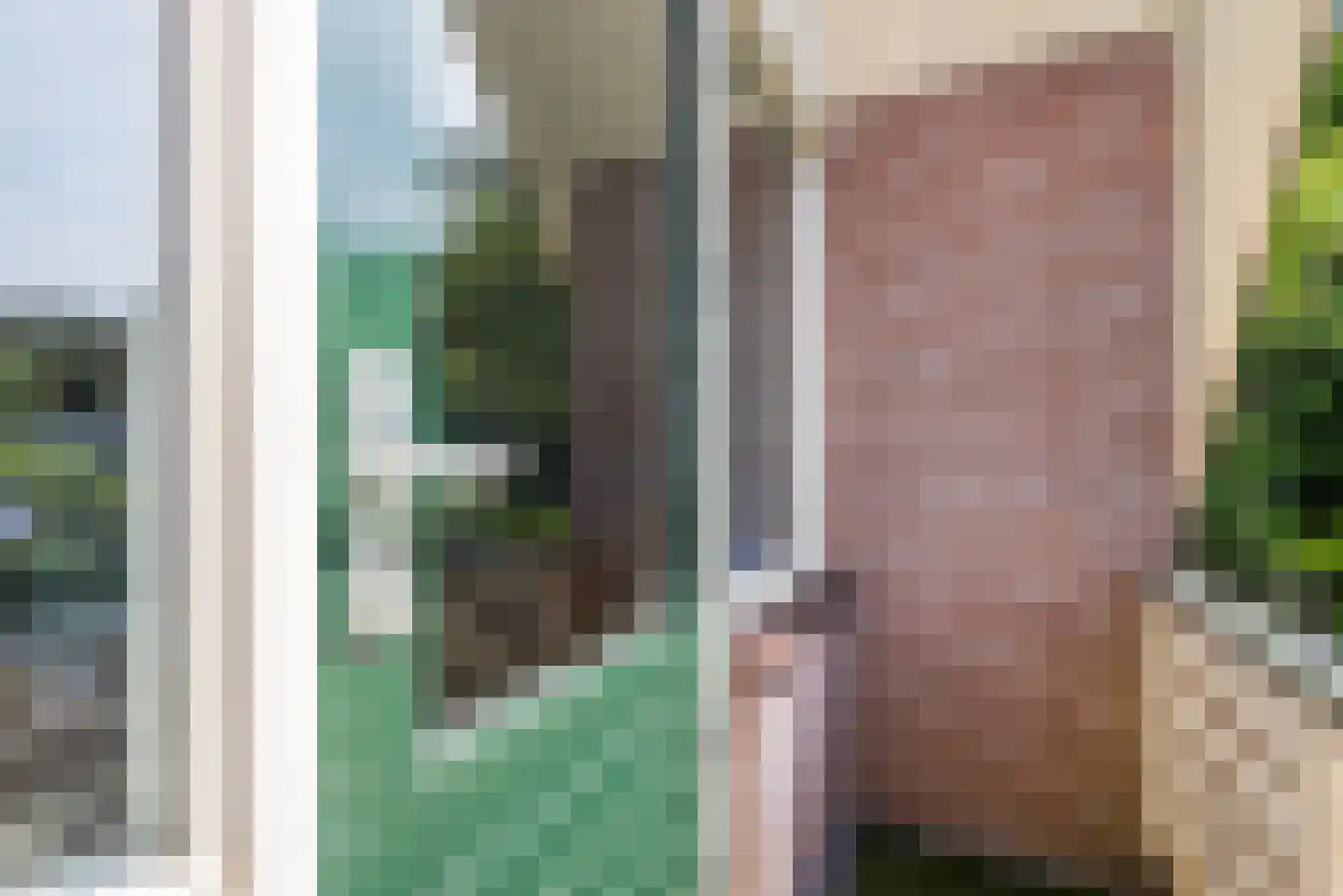 Wikkelaan 51 Ermelo thumbnail 48