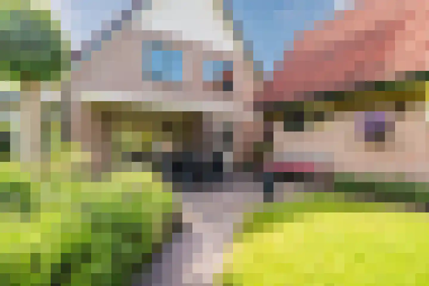 Wikkelaan 51 Ermelo thumbnail 62