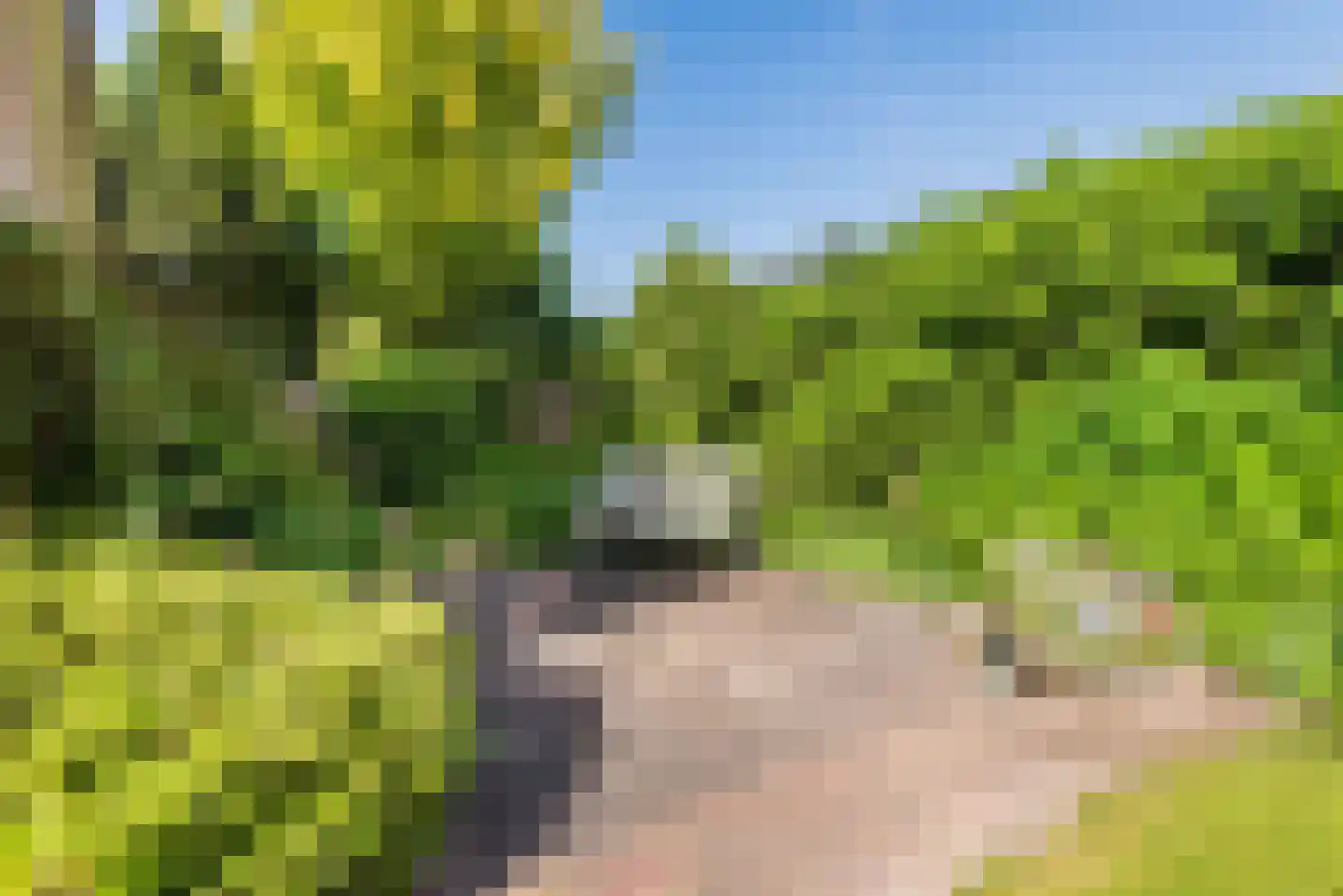Wikkelaan 51 Ermelo thumbnail 66