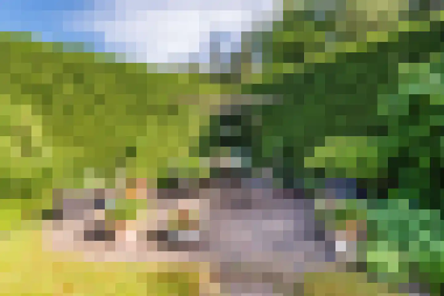 Wikkelaan 51 Ermelo thumbnail 67