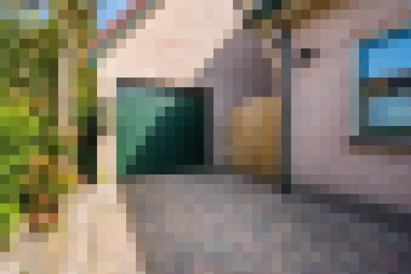 Wikkelaan 51 Ermelo thumbnail 70