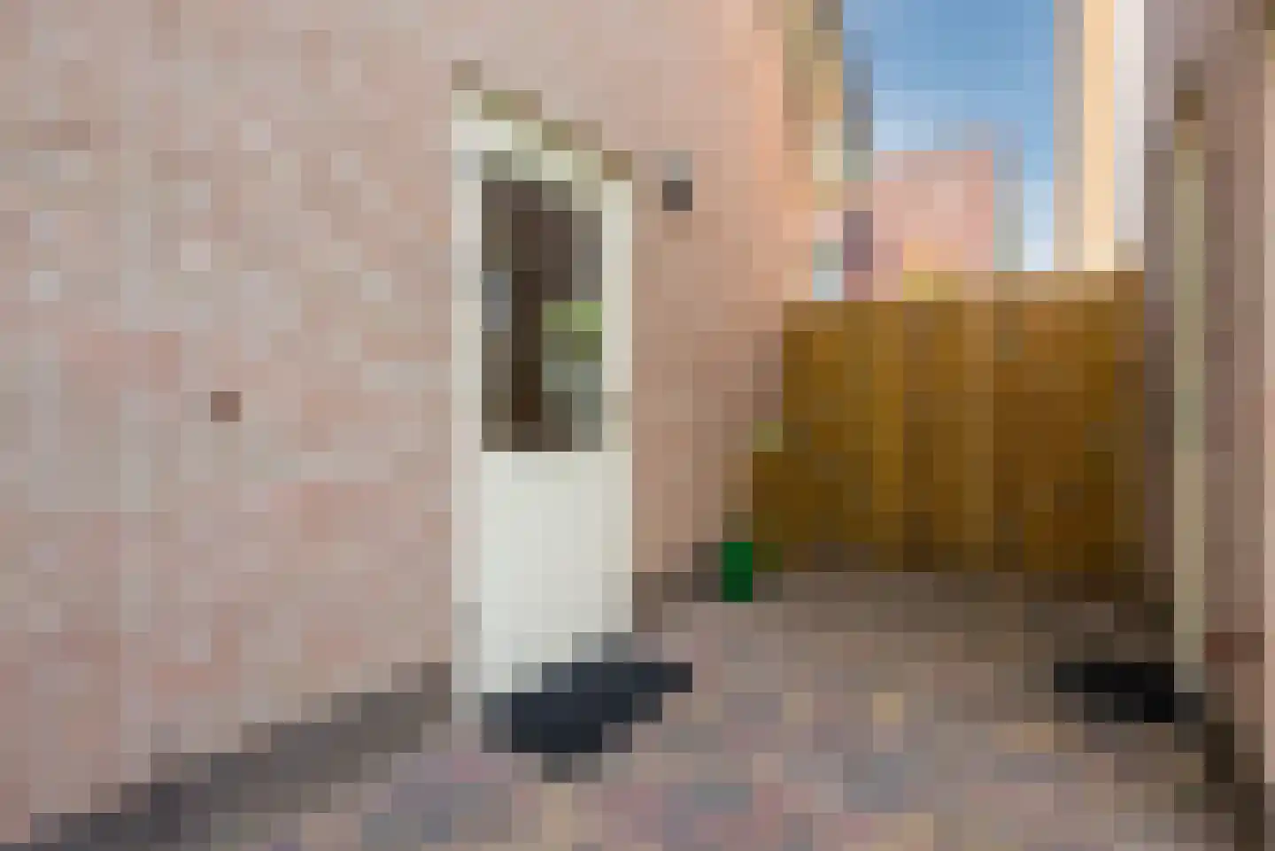 Wikkelaan 51 Ermelo thumbnail 71