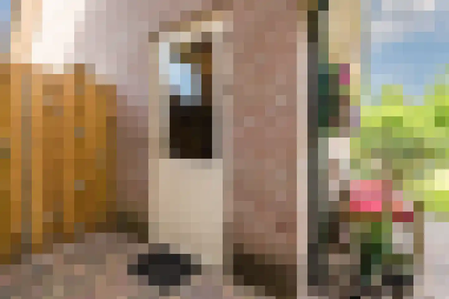 Wikkelaan 51 Ermelo thumbnail 72