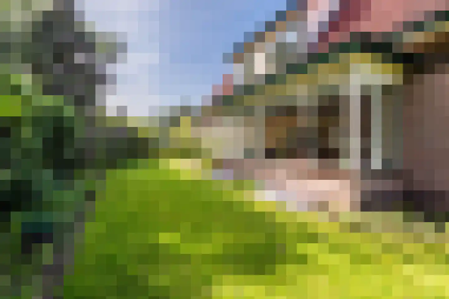 Wikkelaan 51 Ermelo thumbnail 75