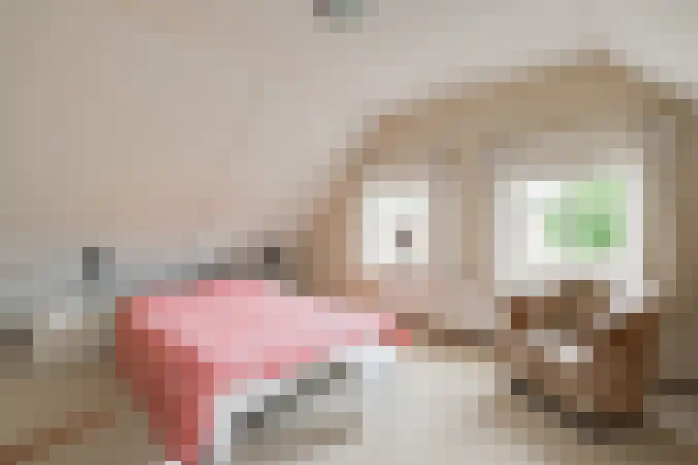 Wikkerinkweg 8 Aalten thumbnail 22