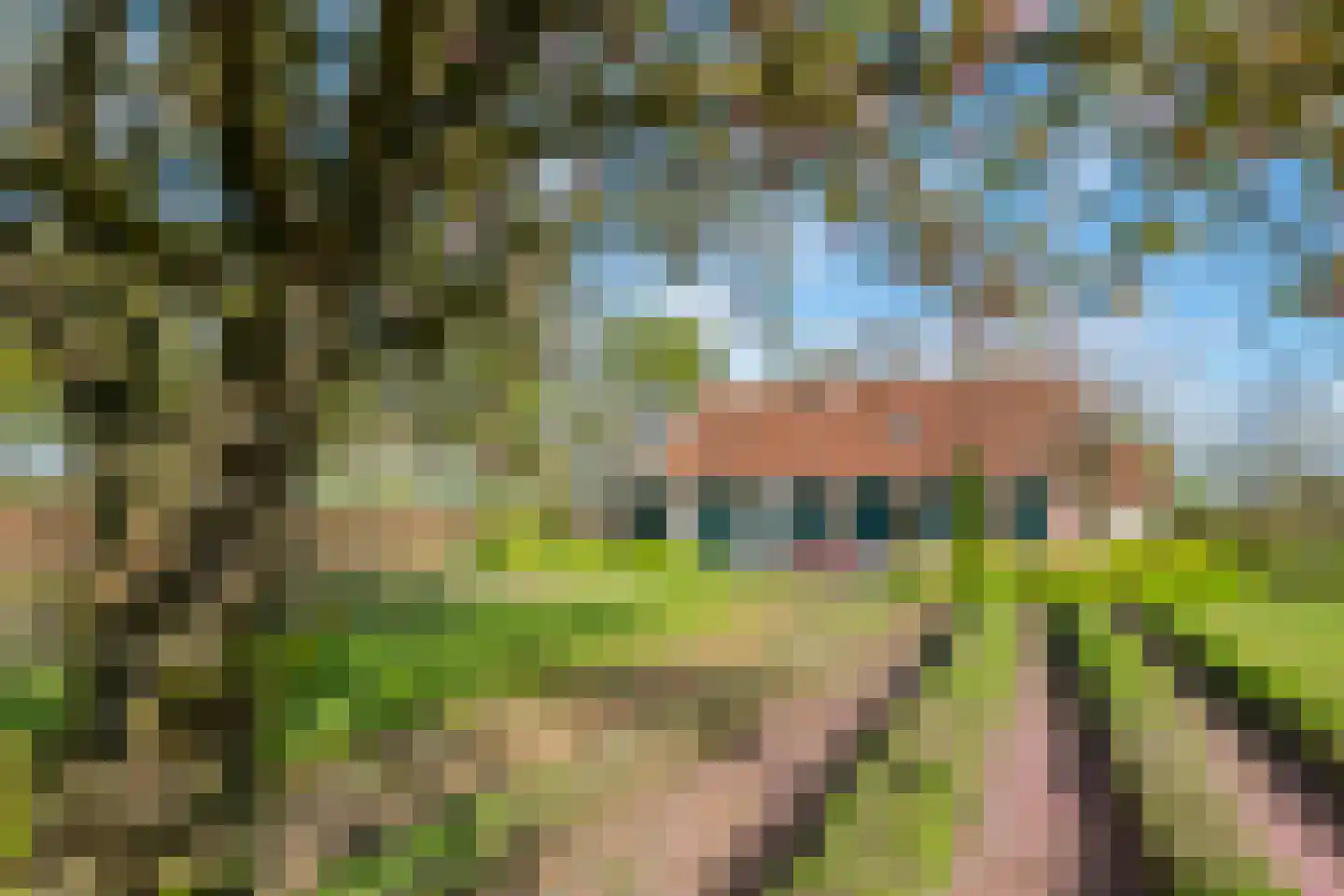 Wikkerinkweg 8 Aalten thumbnail 38