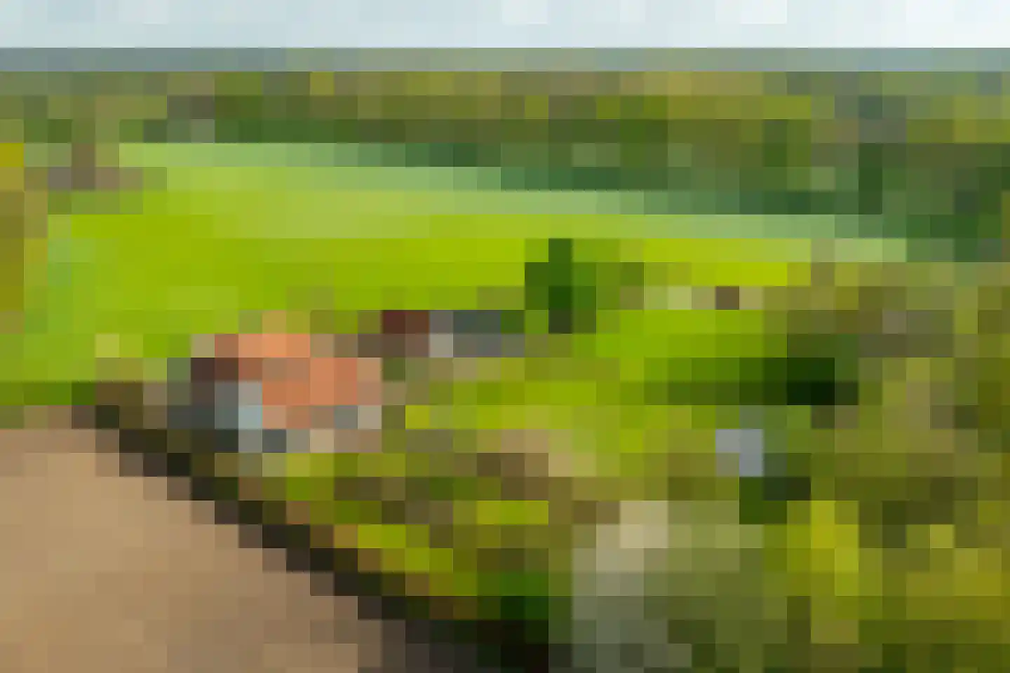 Wikkerinkweg 8 Aalten thumbnail 49