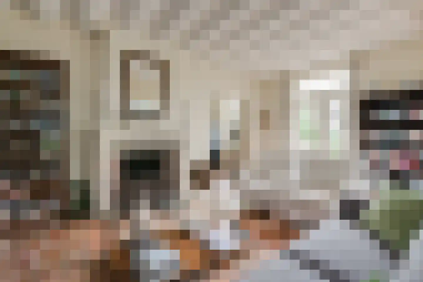 Wikkerinkweg 8 Aalten thumbnail 5
