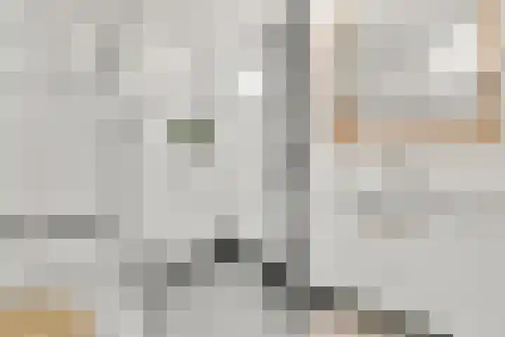 Wikkestraat 18 Nieuw-Vennep thumbnail 26
