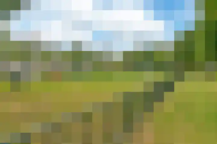 Wikkestraat 18 Nieuw-Vennep thumbnail 31
