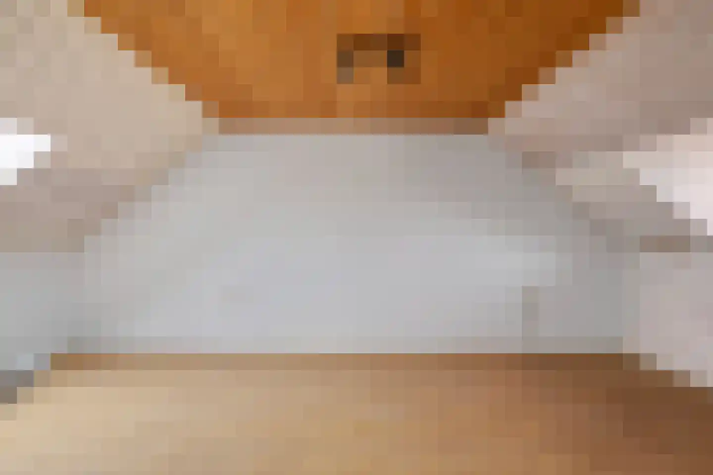 Wikkestraat 3 Riethoven thumbnail 30