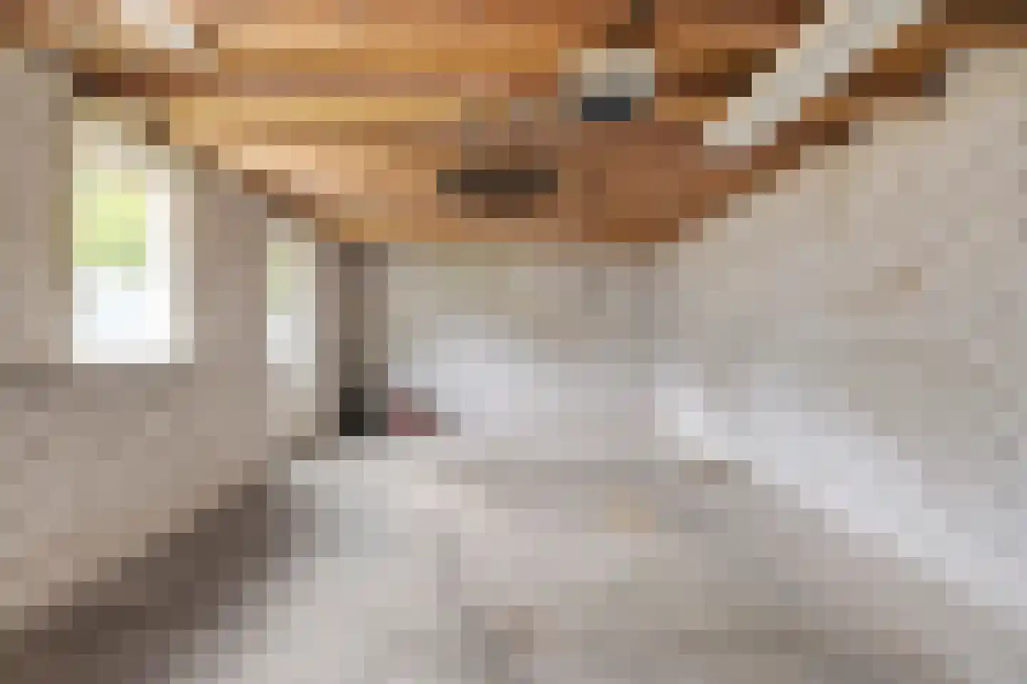 Wikkestraat 3 Riethoven thumbnail 35