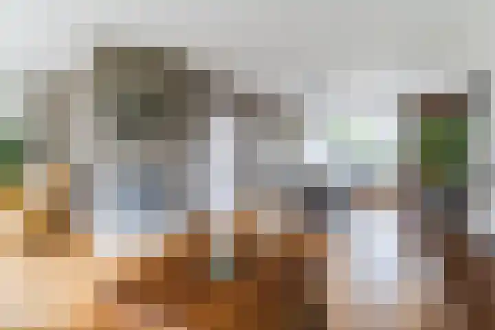 Wikkestraat 4 Riethoven thumbnail 13