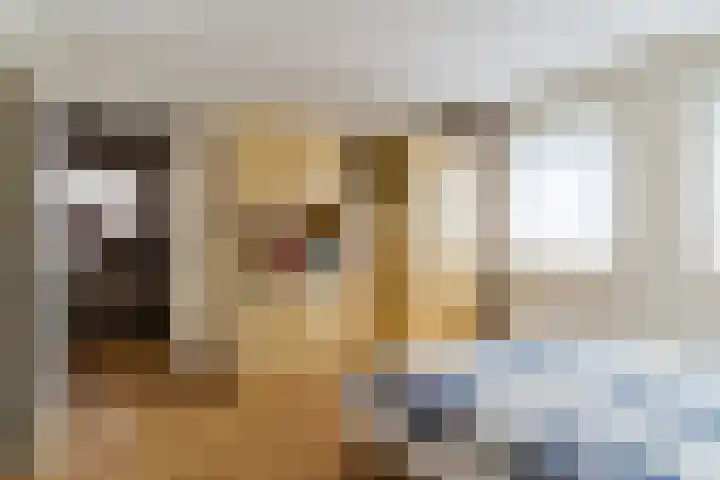 Wikkestraat 4 Riethoven thumbnail 24