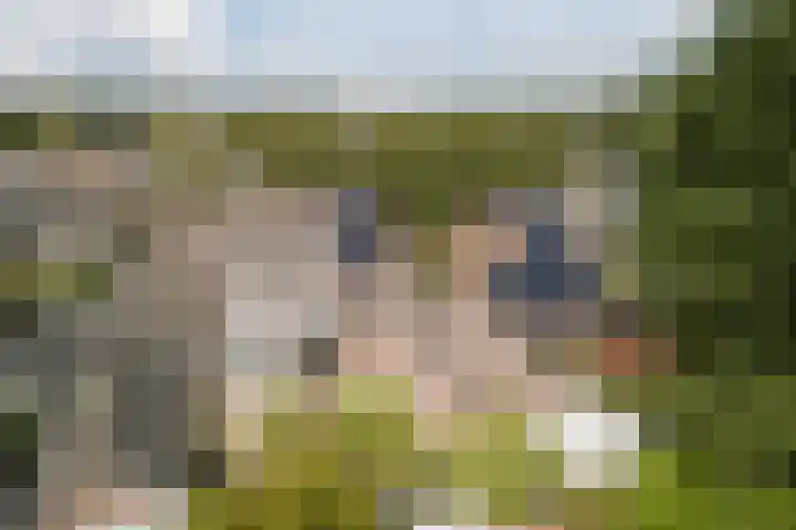 Wikkestraat 4 Riethoven thumbnail 35