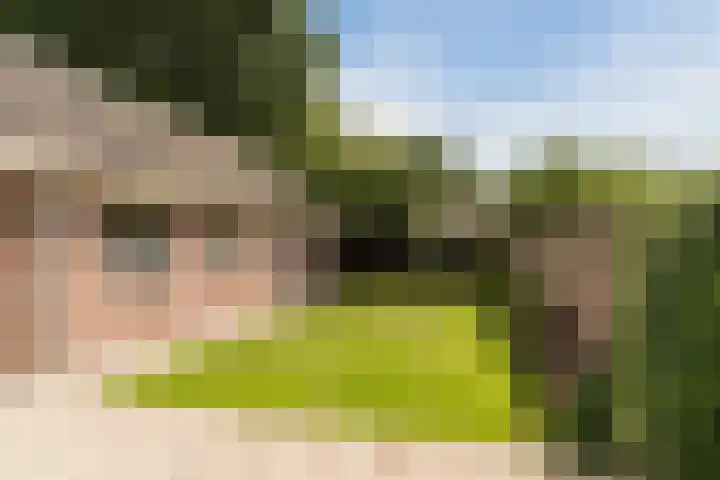 Wikkestraat 4 Riethoven thumbnail 36